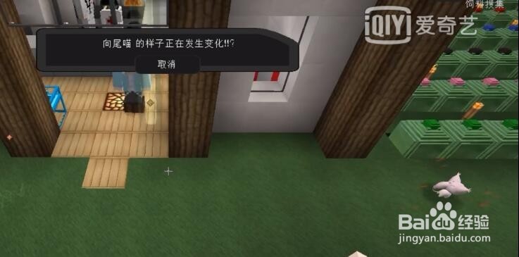 我的世界神奇宝贝向尾喵怎么进化