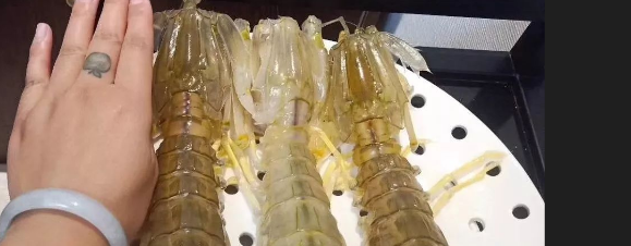 皮皮虾一芭多少天