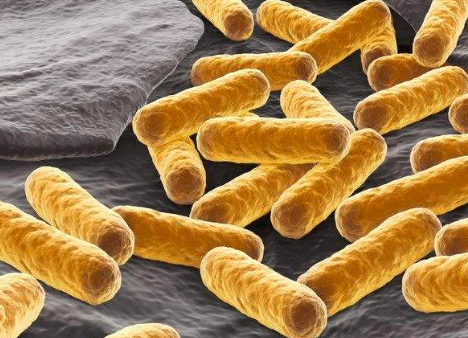 初中生物的学习方法生物到底应该怎么学习
