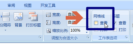 excel2007如何隐藏线条不显示网格线只显示文字
