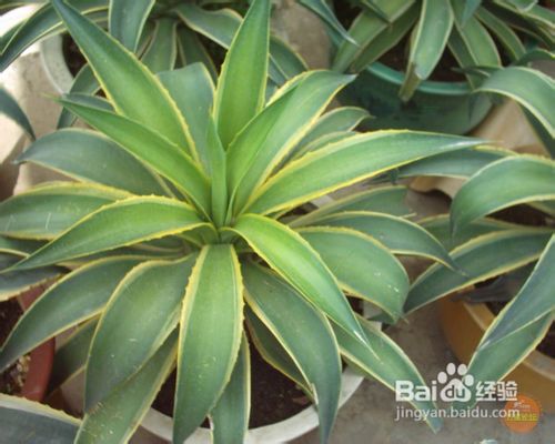 装修后如何除甲醛,装修除甲醛最好方法