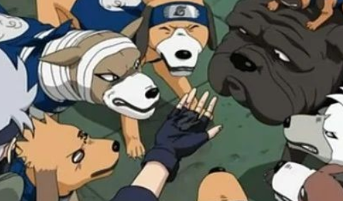 《火影忍者》为什么后期鸣人不召唤文太了