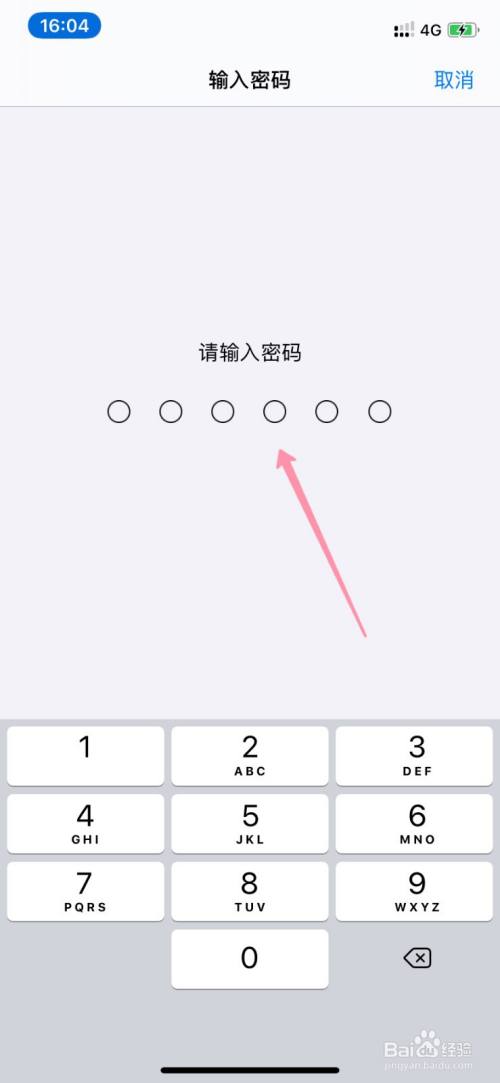 苹果12下载软件跳过输密码
