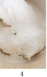 椒盐芝麻饼的做法