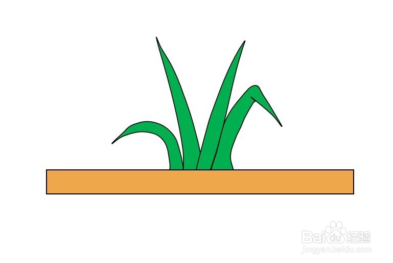 画小草盆景的简笔画