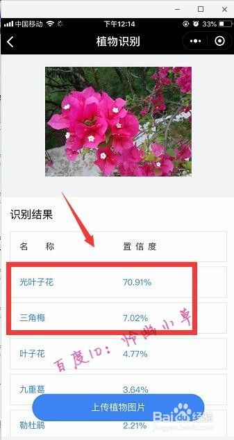 微信怎么识别植物的名字微信识别花教程 百度经验