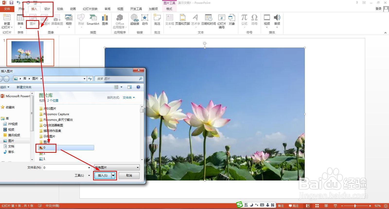 荷花的组成部分图解