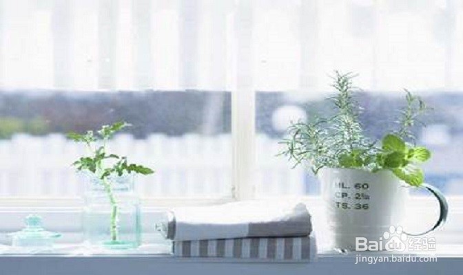 夏季要注意身体保健的几项日常事