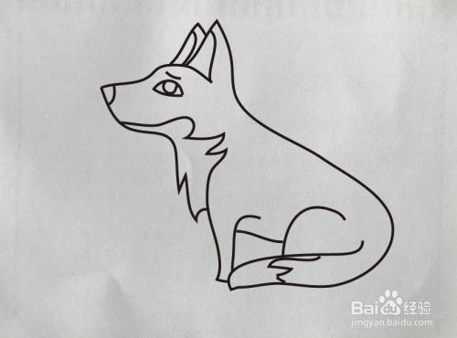 如何画胡狼简笔画