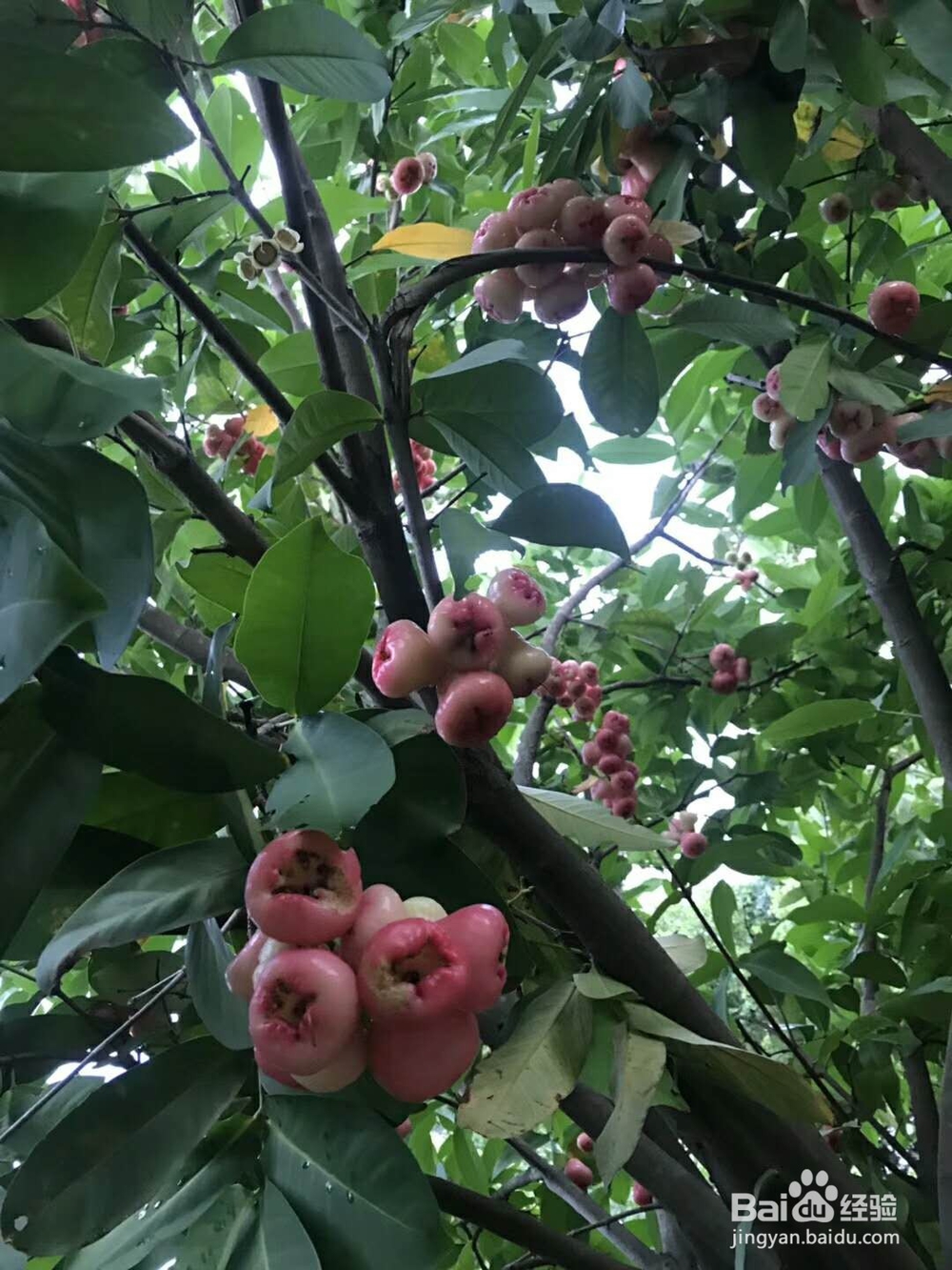 说出这三句话，情侣之间将永远不可能再复合？