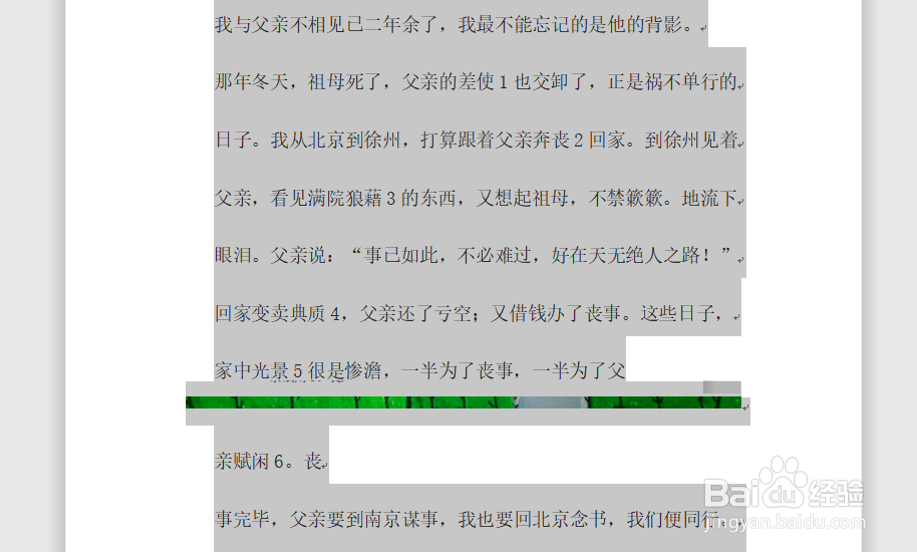 Word中图片显示不全怎么办