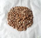 男性如何预防脱发,男性脱发的食疗法