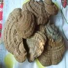 简单治失眠的方法《第一季》