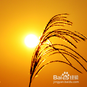 完成语文读后感的六个步骤