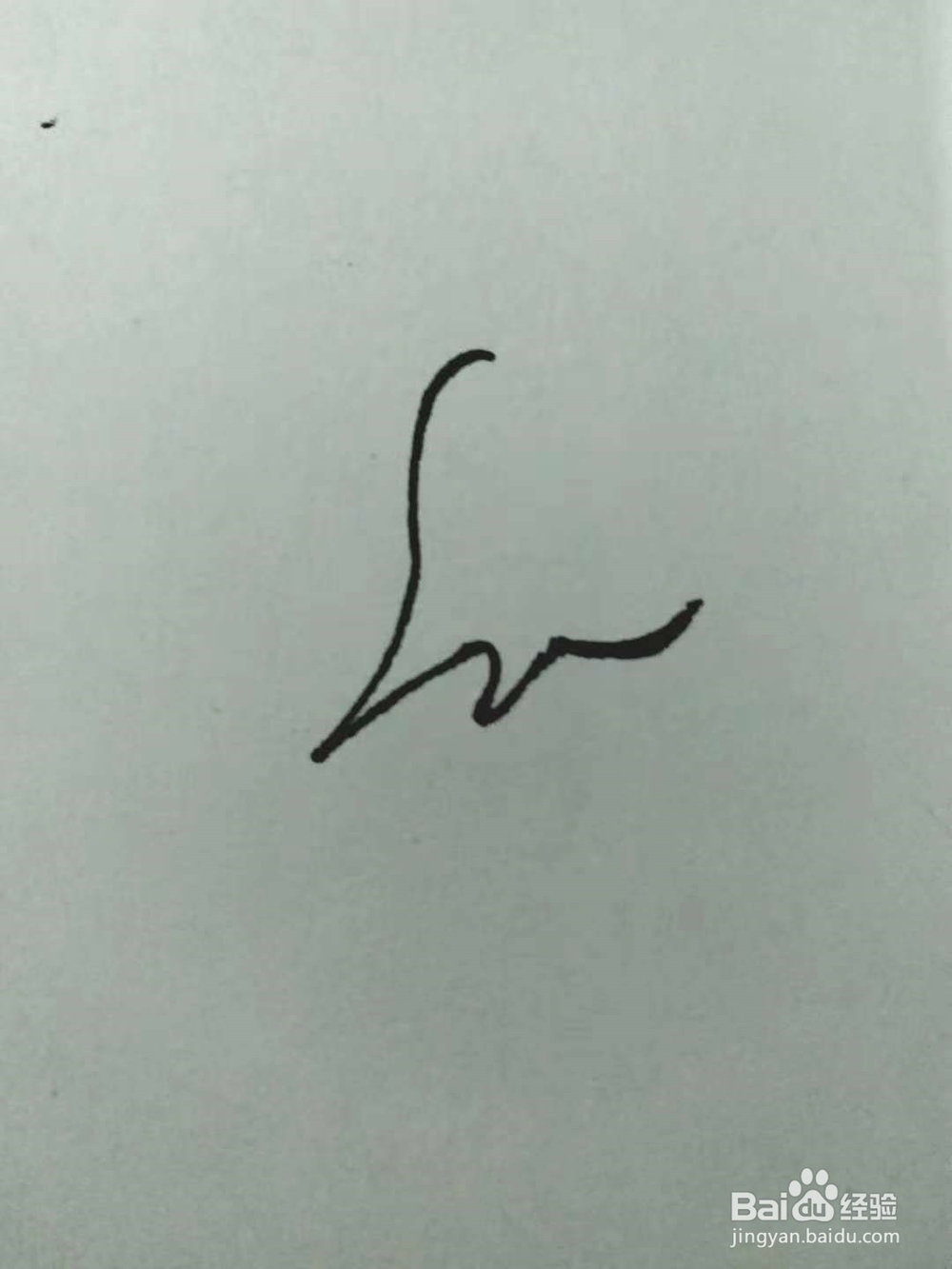 老鼠的简笔画法3