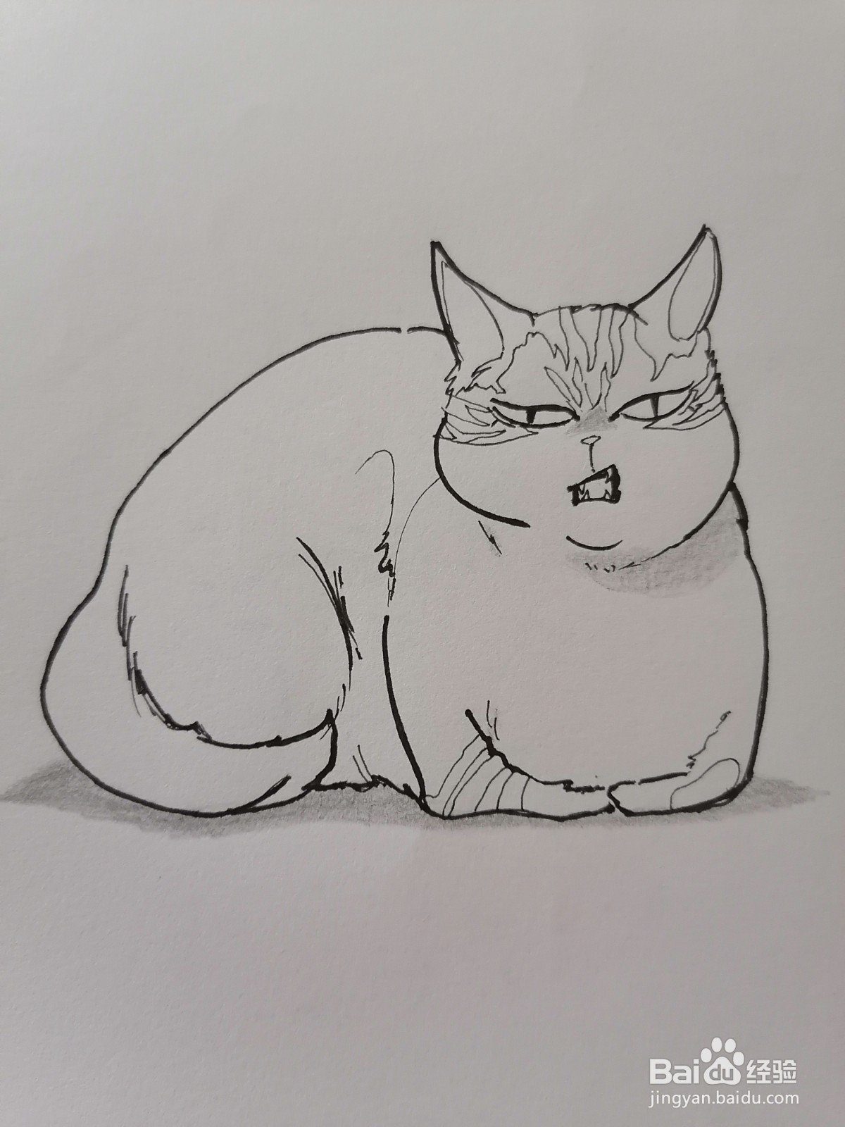猫猫爱挡路简笔画