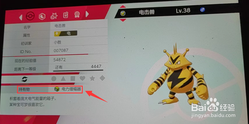 宝可梦剑盾电击兽是怎么进化的