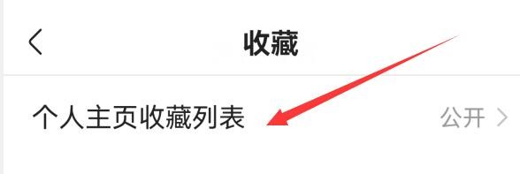 快手如何设置个人主页收藏列表仅自己可见？