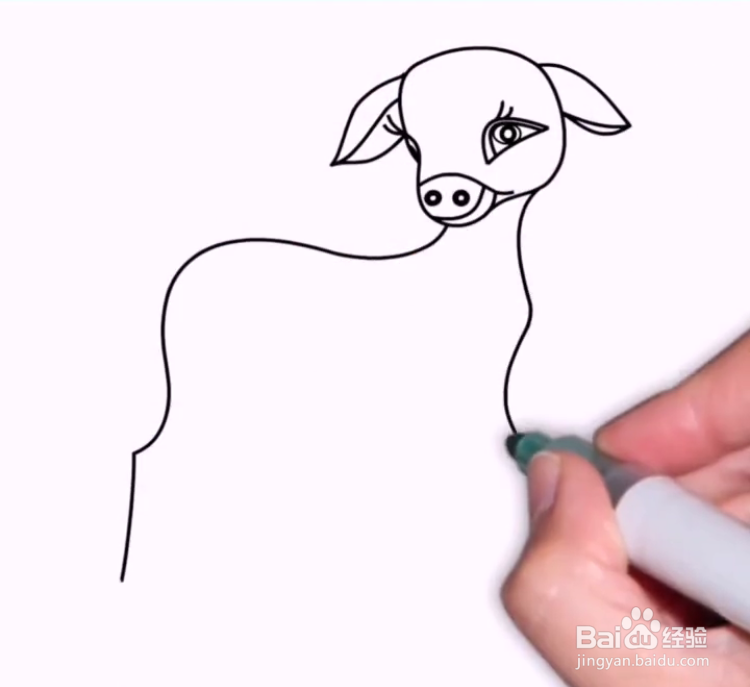 如何画小羊