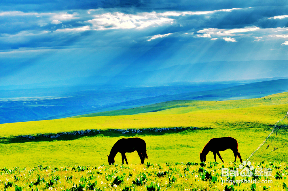 新疆天山，不仅有瀚海黄沙，更有雄伟壮阔