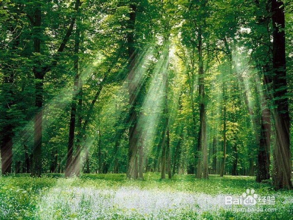 如何走出失恋低谷 排解失恋忧伤