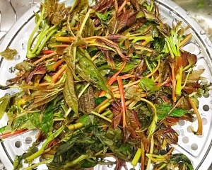 健康养生佳品腌香椿的做法