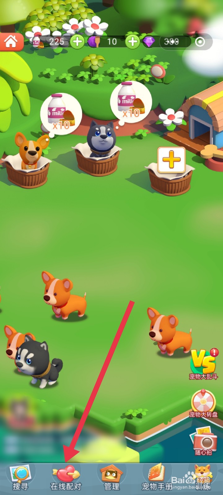 山海小镇如何“发送”宠物配对消息