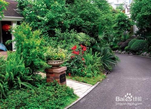 <b>森肯园林庭院景观植物搭配方法</b>