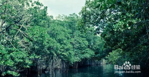 去牙买加旅游时,去哪里游玩比较好?