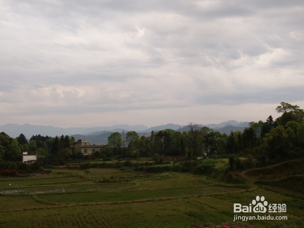 春风吹,春笋生,如何做一道美味的鸡蛋炒春笋?