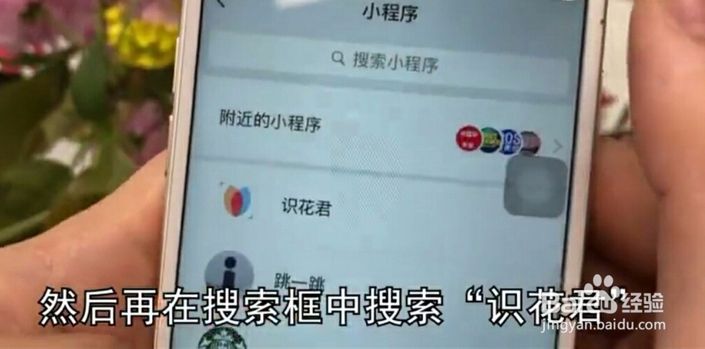 怎样利用微信来识别花草？