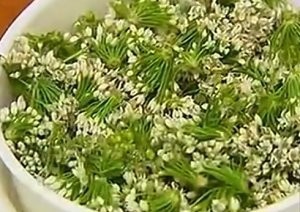 健康养生佳品腌鲜韭菜花酱
