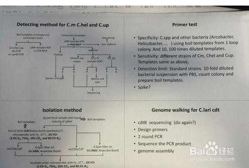 PowerPoint 2013打印占满整张纸的设置方法