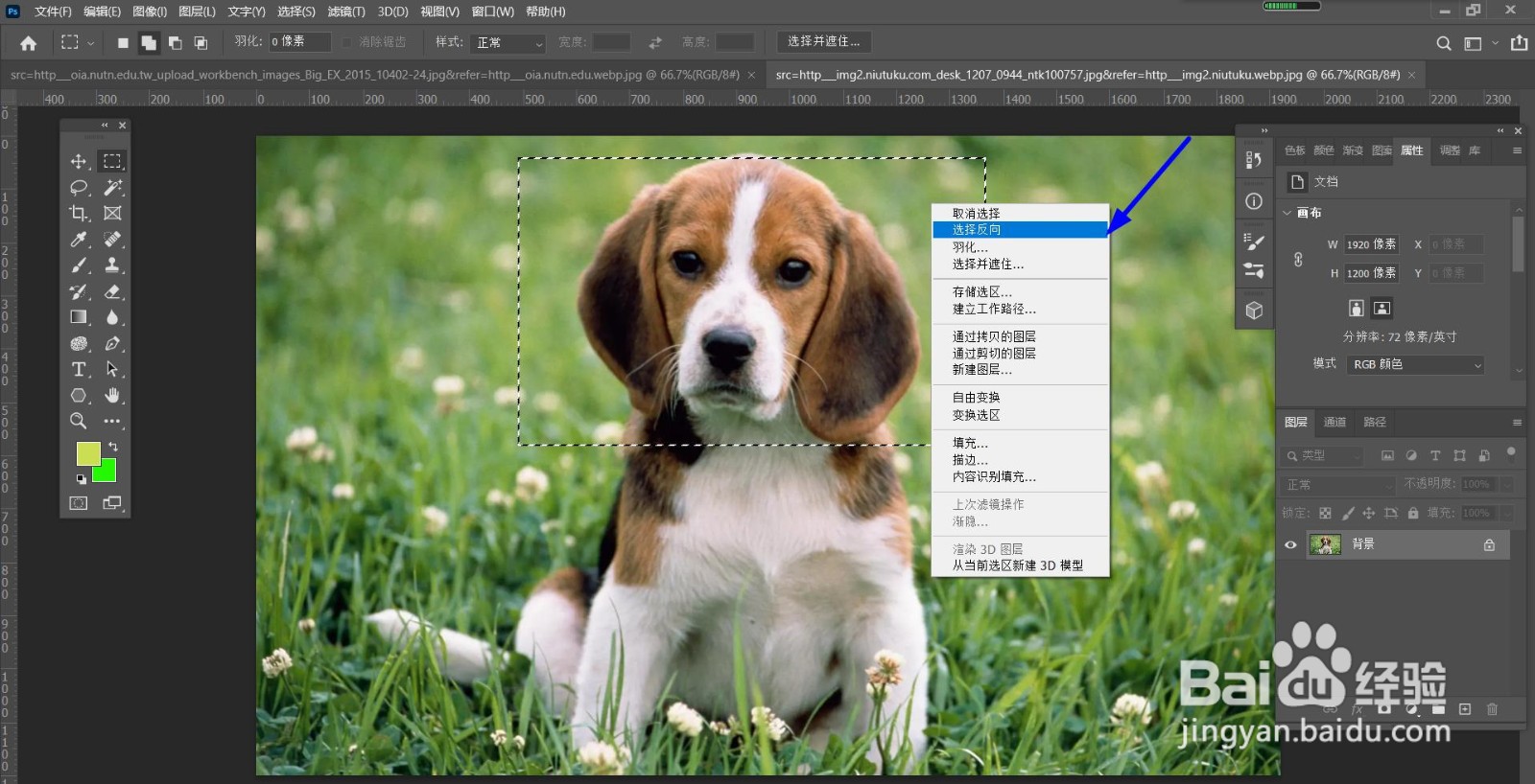 PS怎么设置选区反选？