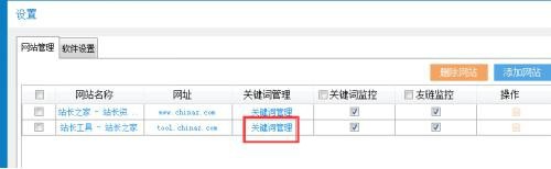 站长工具SEO查询软件（公测版）注意细节