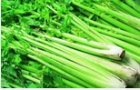 夏季降血压吃什么好