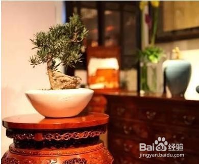 一“几”见春秋，细说家具中“几”的文化！