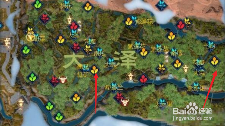 太荒初境金矿位置