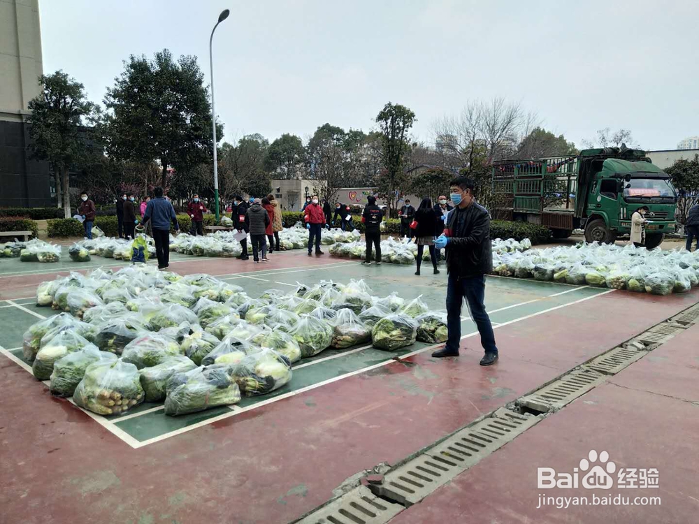 襄阳17.5元特价“蔬菜包”如何购买？