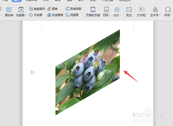 WPS文字中如何将图片设置成三维旋转效果