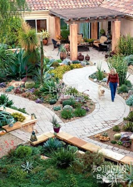 双十一剁手的钱省下来，可以建一个多肉花园了！