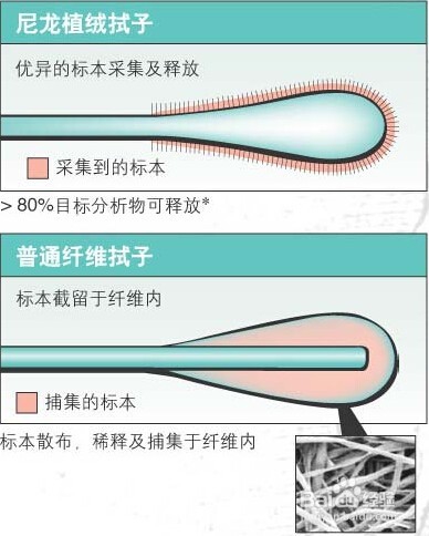 怎么进行DNA口腔黏膜脱落细胞采集