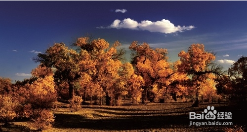 如何拍出美妙的风景照片