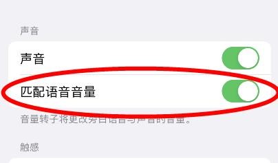 苹果13如何开启匹配语音音量