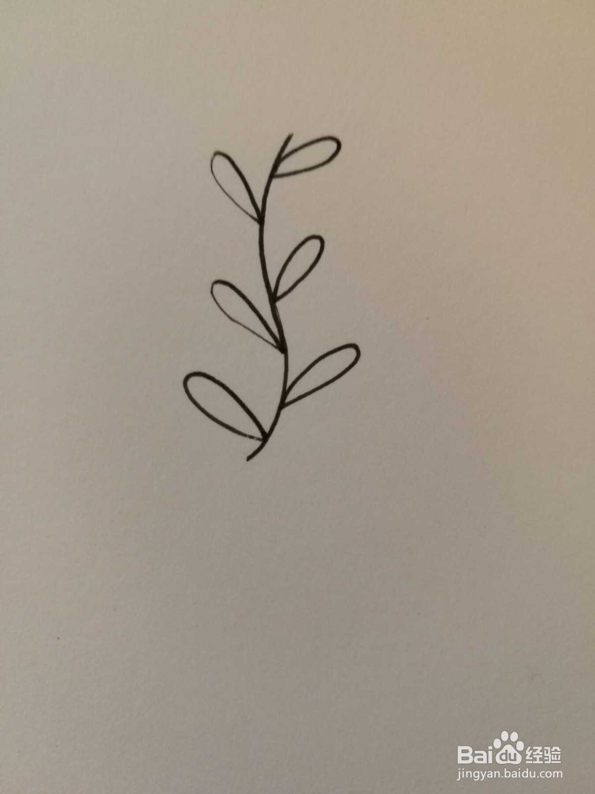 小草简笔画之画法八