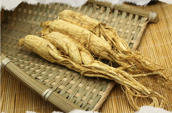 觅阳参和西洋参的区别
