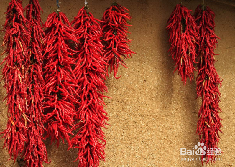 冬季冻疮让不少人苦恼,这几种方法让你轻松除根