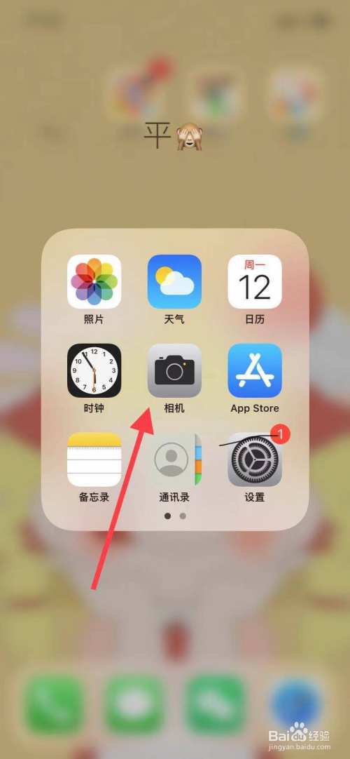 苹果连拍怎么开