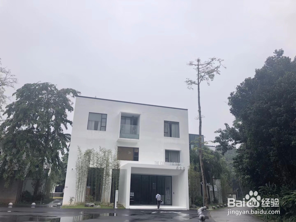 户外旅行，来植物园氧吧吧