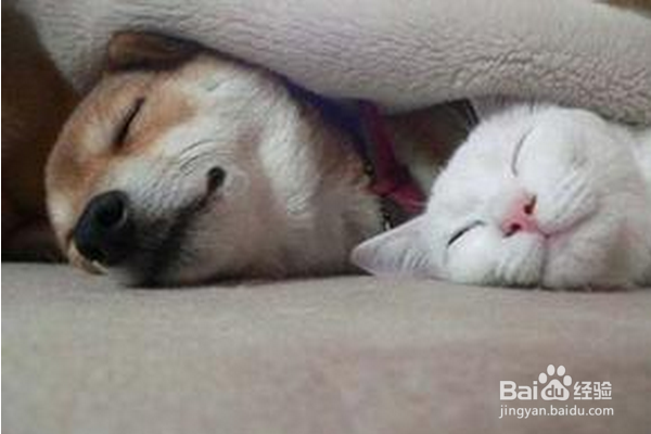 怎样和舍友搞好关系